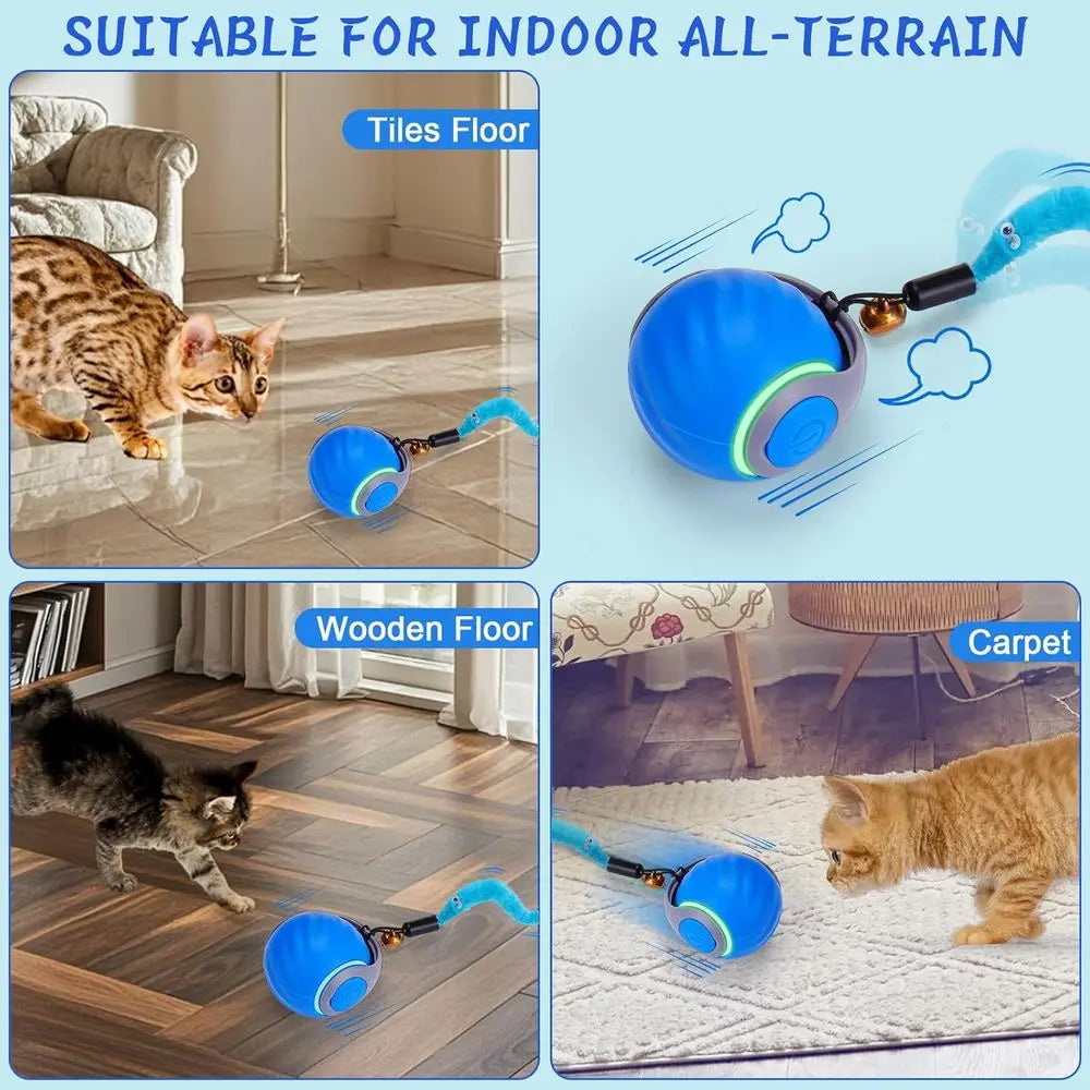 Interactive Cat Toy Ball With 3 Tails And Dual Speeds