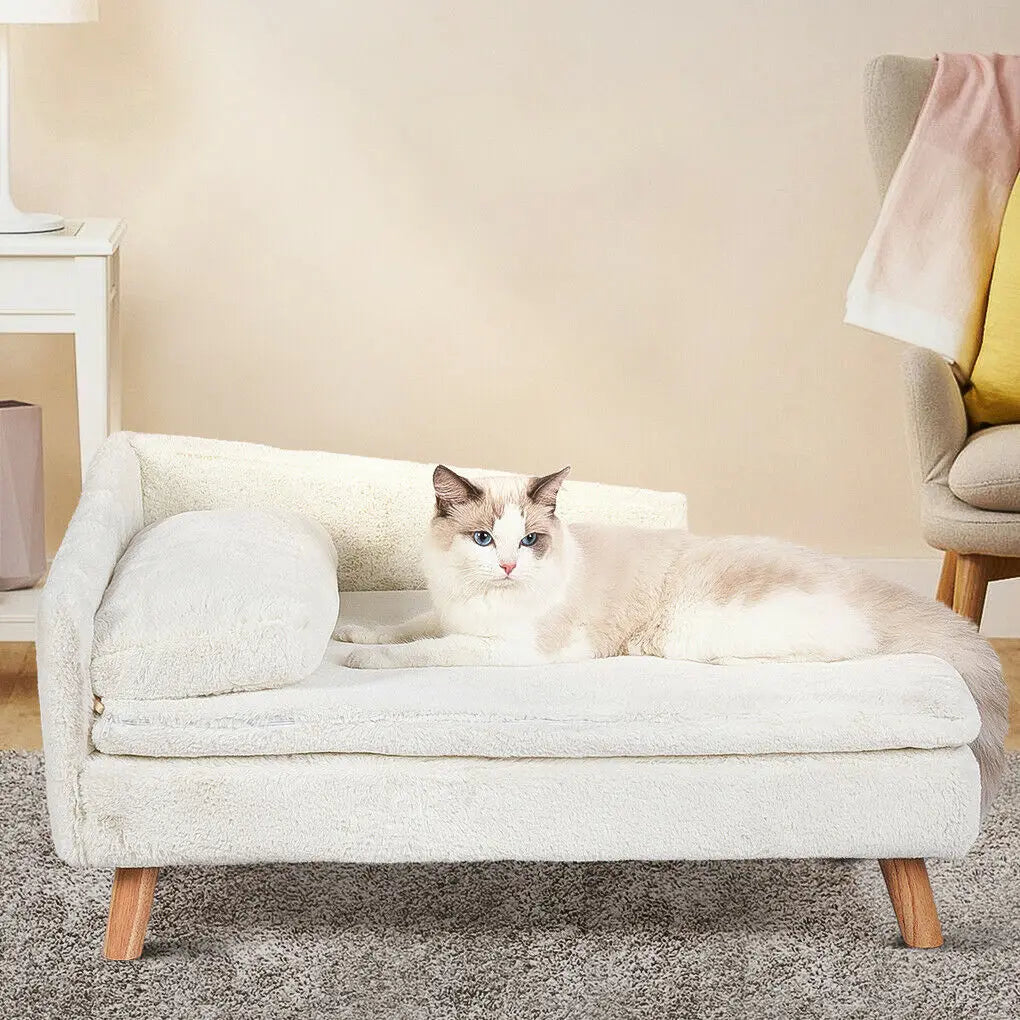 CN Guangdong Elevated Pet Bed Solid Wood Leg Sofa Indoor