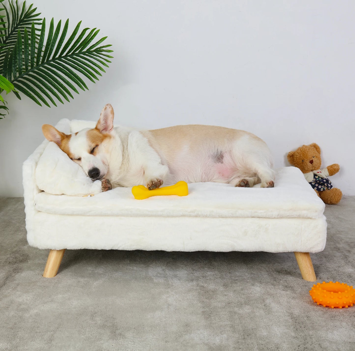 CN Guangdong Elevated Pet Bed Solid Wood Leg Sofa Indoor