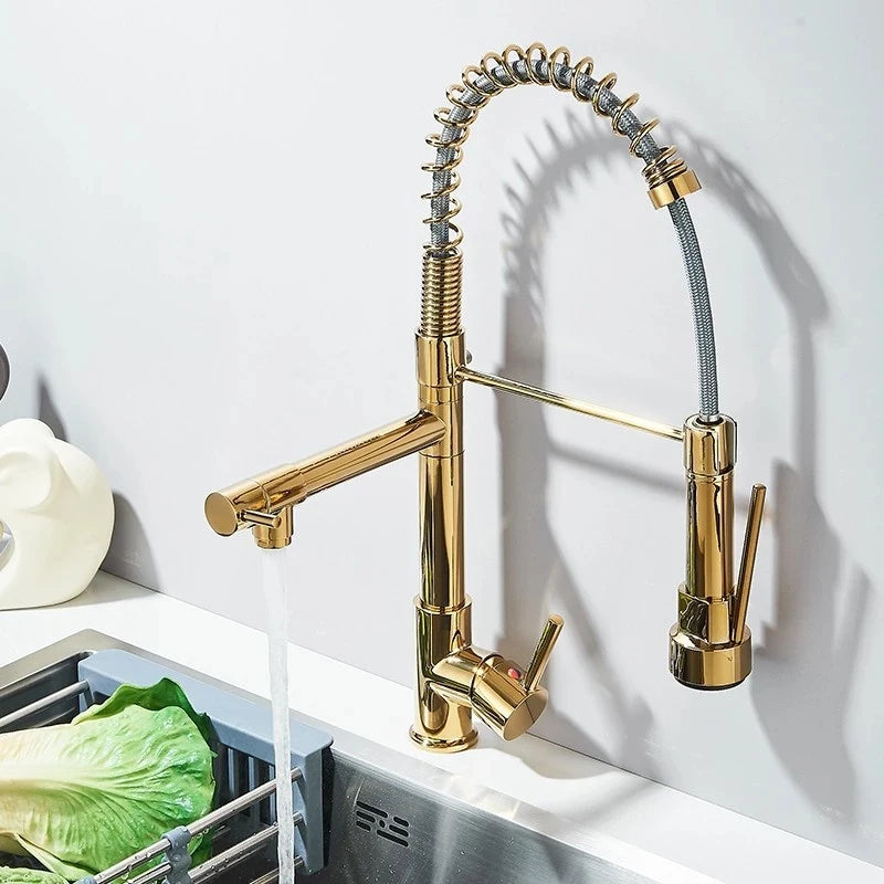 SHBSHAIMY Gold Pull Down Kitchen Faucet With Dual Swivel Spout Hot Cold Water
