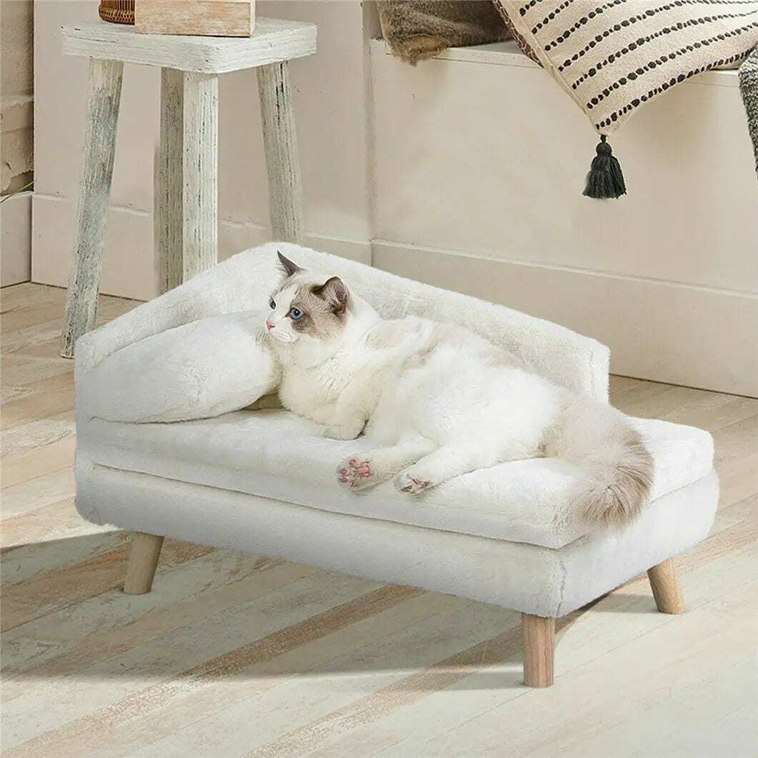 CN Guangdong Elevated Pet Bed Solid Wood Leg Sofa Indoor